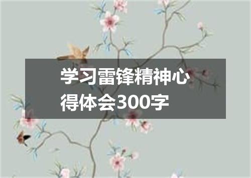 学习雷锋精神心得体会300字