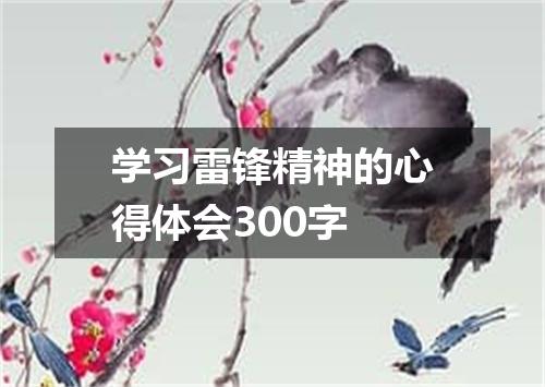 学习雷锋精神的心得体会300字