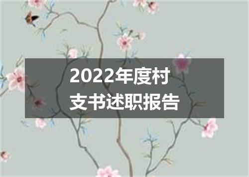 2022年度村支书述职报告