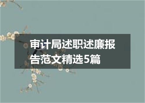 审计局述职述廉报告范文精选5篇