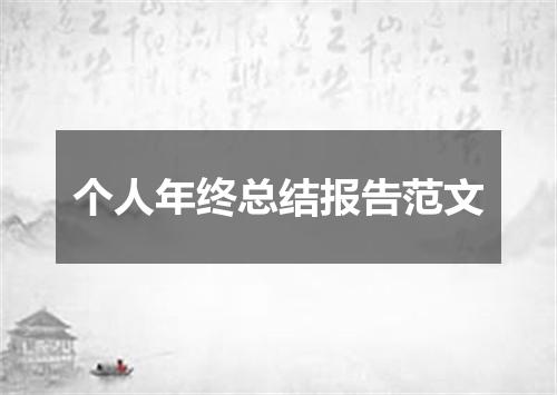 个人年终总结报告范文