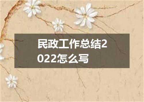 民政工作总结2022怎么写