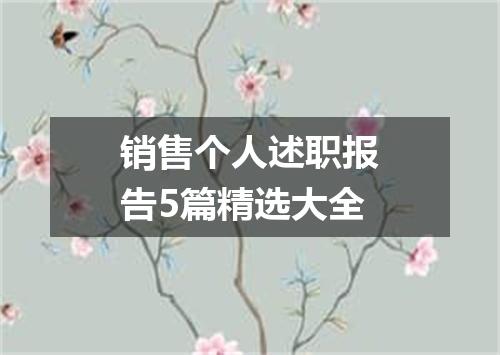 销售个人述职报告5篇精选大全