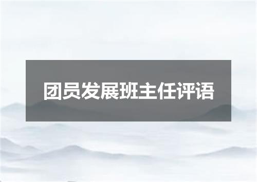 团员发展班主任评语