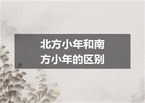 北方小年和南方小年的区别