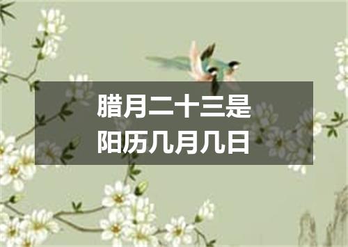 腊月二十三是阳历几月几日