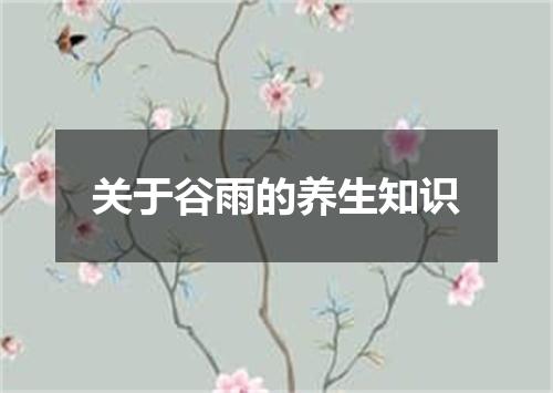 关于谷雨的养生知识