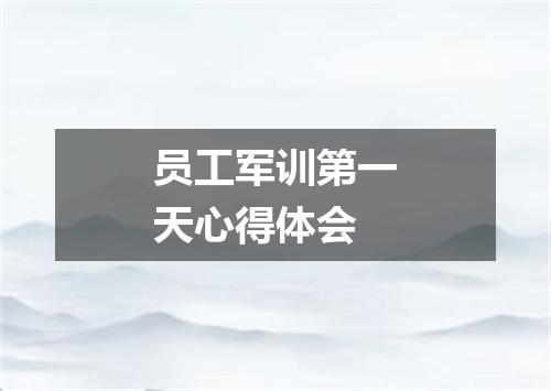 员工军训第一天心得体会
