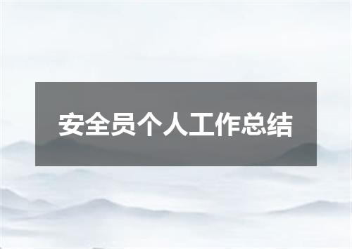 安全员个人工作总结