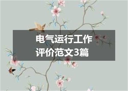 电气运行工作评价范文3篇