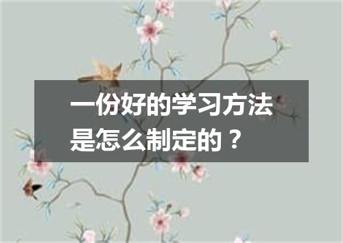 一份好的学习方法是怎么制定的?