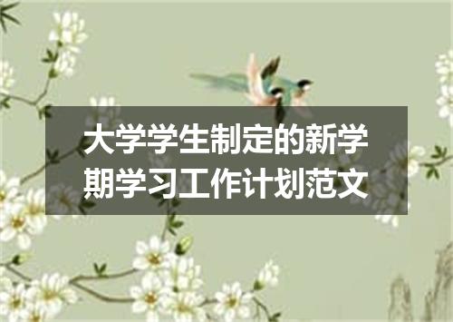 大学学生制定的新学期学习工作计划范文