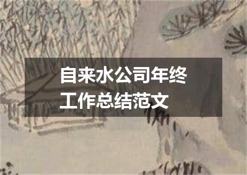 自来水公司年终工作总结范文
