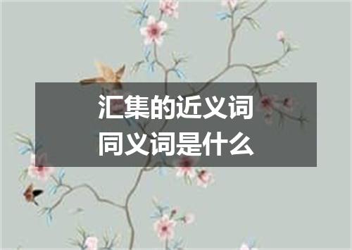 汇集的近义词同义词是什么