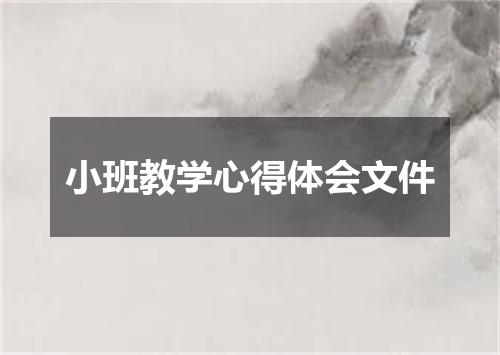 小班教学心得体会文件