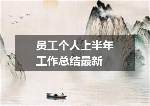员工个人上半年工作总结最新