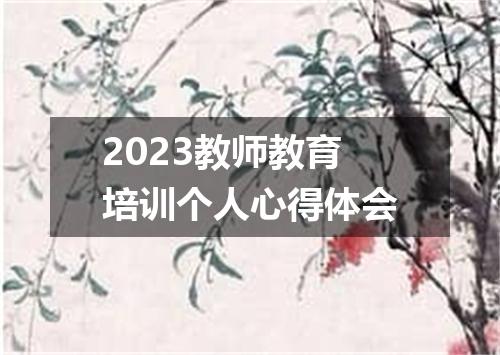 2023教师教育培训个人心得体会