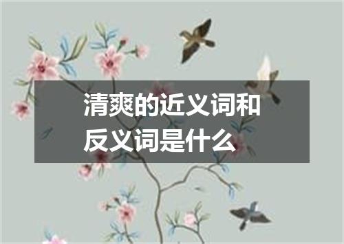 清爽的近义词和反义词是什么