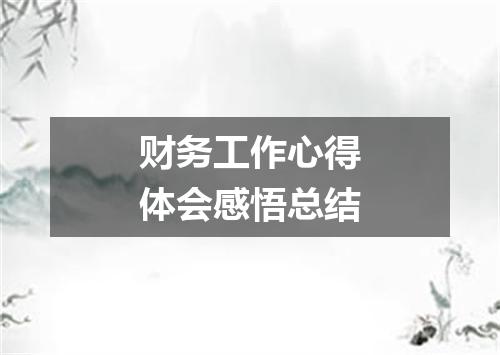财务工作心得体会感悟总结