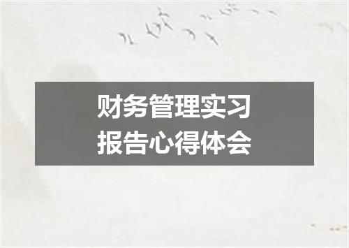 财务管理实习报告心得体会