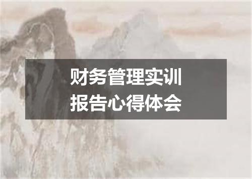 财务管理实训报告心得体会