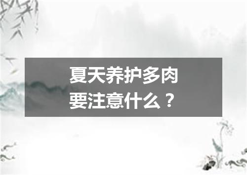 夏天养护多肉要注意什么？