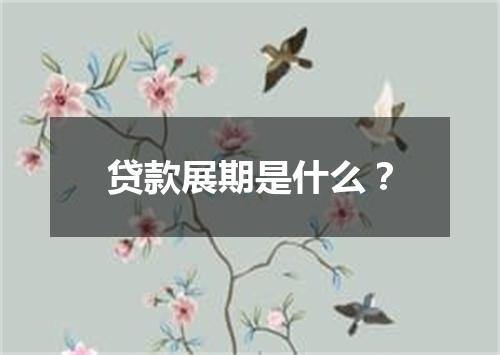 贷款展期是什么？