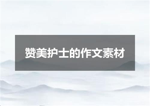 赞美护士的作文素材