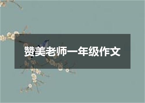 赞美老师一年级作文