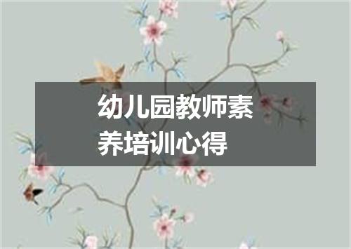幼儿园教师素养培训心得