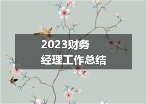 2023财务经理工作总结