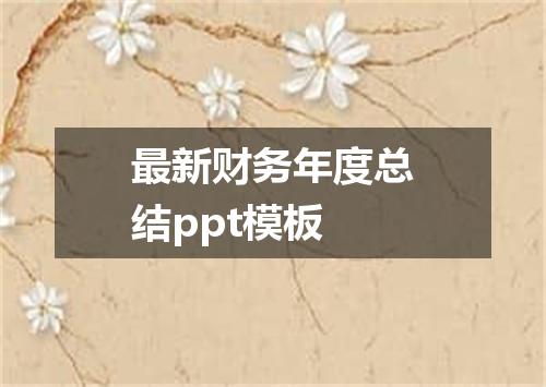 最新财务年度总结ppt模板