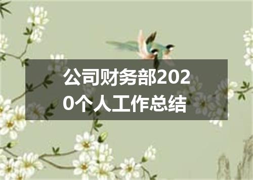 公司财务部2020个人工作总结