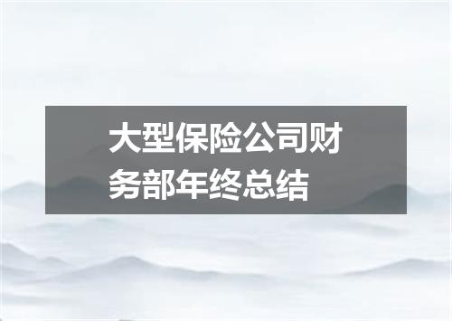 大型保险公司财务部年终总结