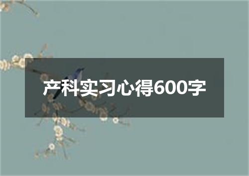 产科实习心得600字