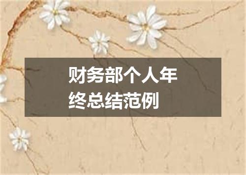 财务部个人年终总结范例