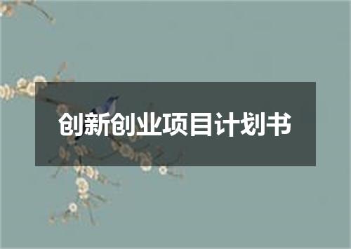 创新创业项目计划书