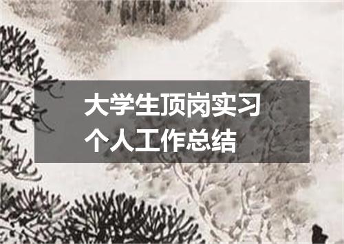 大学生顶岗实习个人工作总结