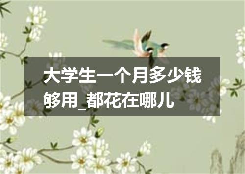 大学生一个月多少钱够用_都花在哪儿