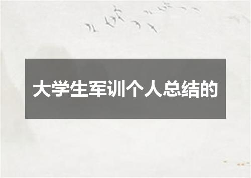 大学生军训个人总结的