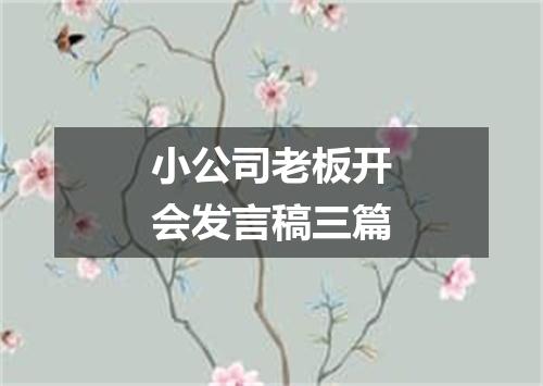 小公司老板开会发言稿三篇