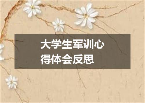 大学生军训心得体会反思