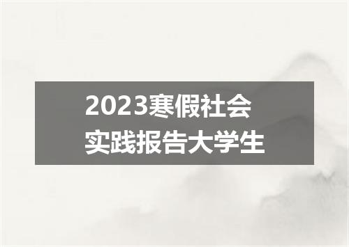 2023寒假社会实践报告大学生