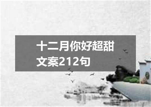 十二月你好超甜文案212句