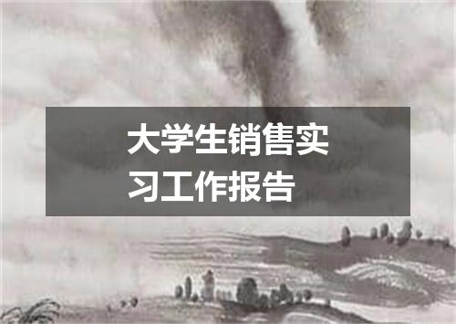 大学生销售实习工作报告
