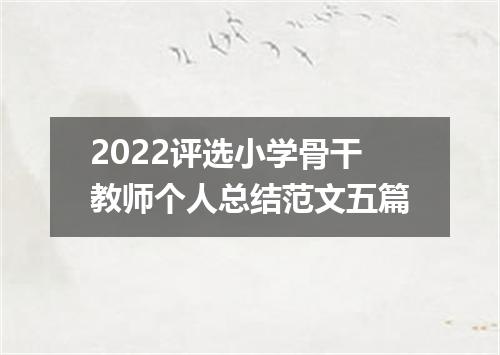 2022评选小学骨干教师个人总结范文五篇