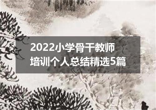 2022小学骨干教师培训个人总结精选5篇