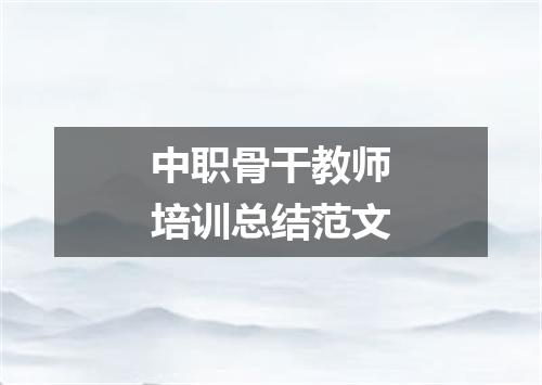 中职骨干教师培训总结范文