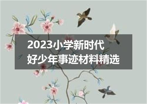 2023小学新时代好少年事迹材料精选