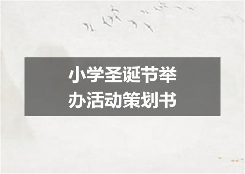 小学圣诞节举办活动策划书